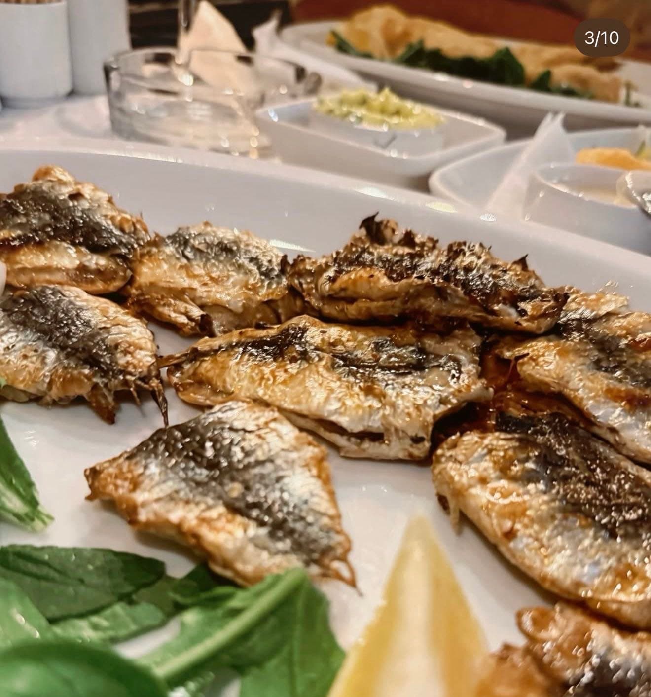 DOLPHIN BALIK RESTAURANT ( SARIYER BALIK RESTAURANT) — Sarıyer, İstanbul