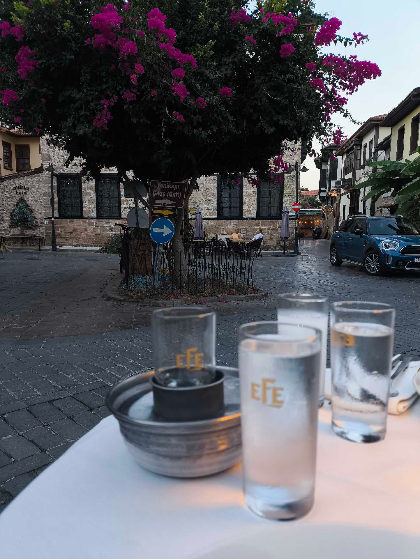 Laf Meze Restaurant — Muratpaşa, Antalya